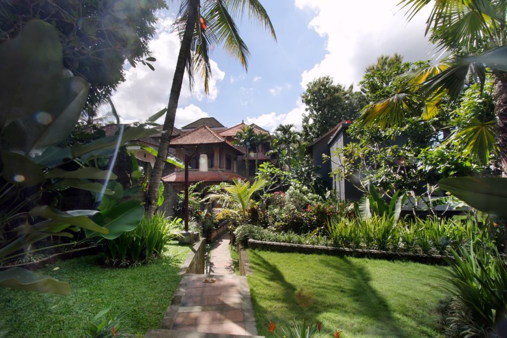 Wisma tamu Terrace Ubud (Bali)